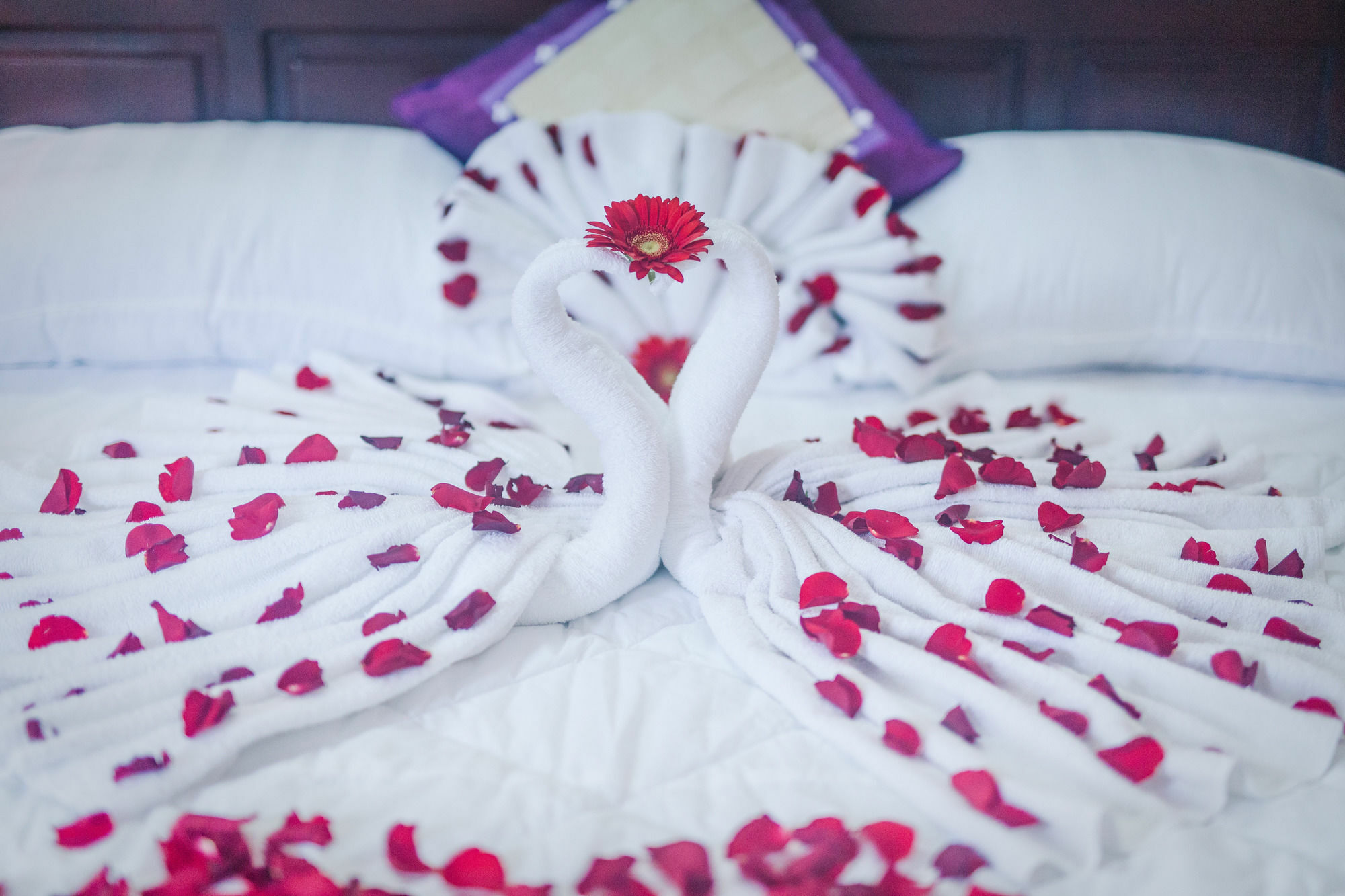 Oyo 117 Gina Hotel Da Nang Luaran gambar